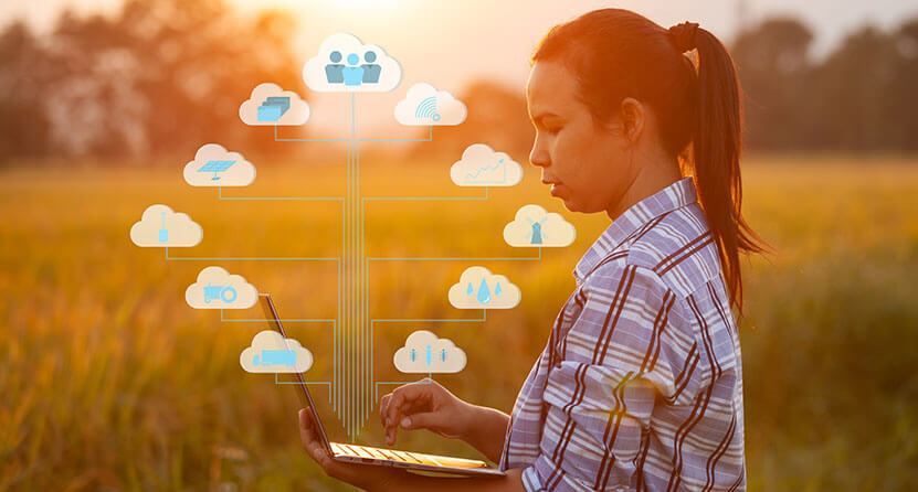 An Opus Interactive blog post image of a woman working on a laptop in a grass field during a sunset, there are cloud related icons overlayed.